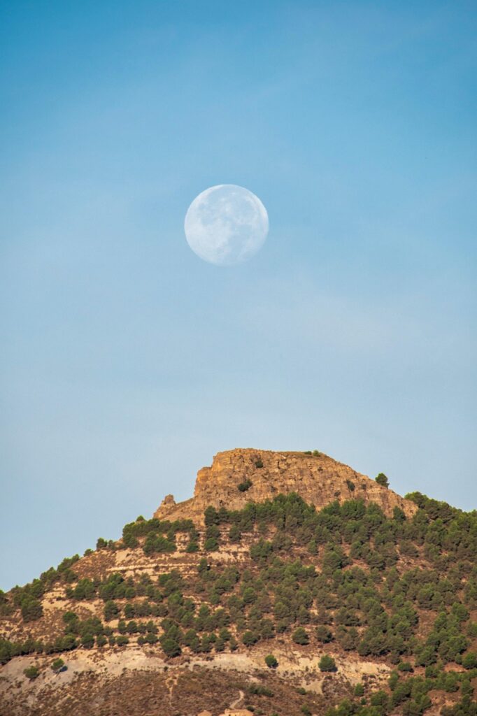 landscape, pine, moon, mountain, nature, hiking, landscape, landscape, moon, mountain, mountain, mountain, mountain, mountain