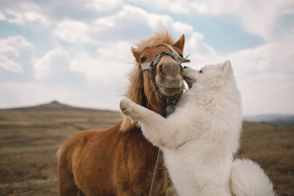A fluffy white dog playfully interacts with a brown horse in an open field under a cloudy sky.